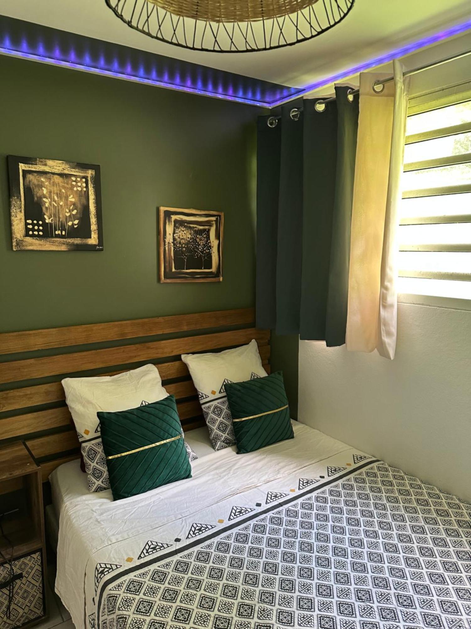 Corossol Apartman Fort-de-France Kültér fotó